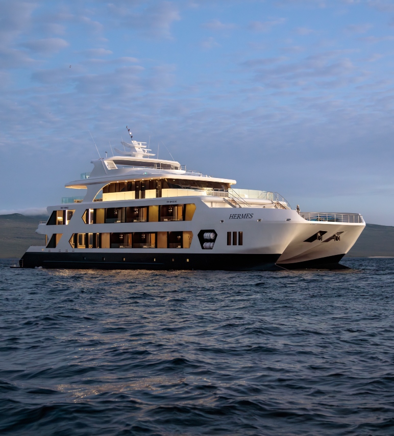 Hermes Mega Catamaran