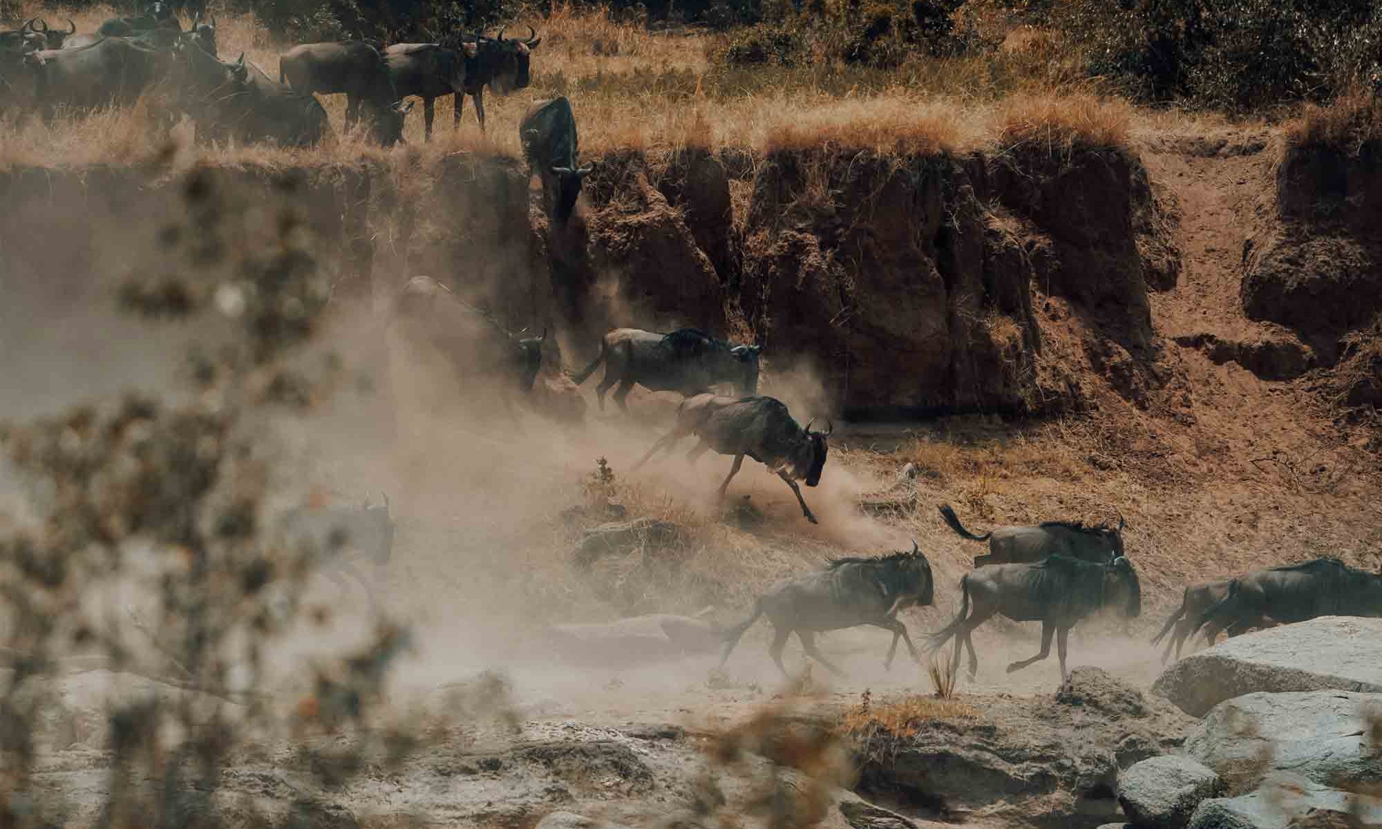 Nimali Mara