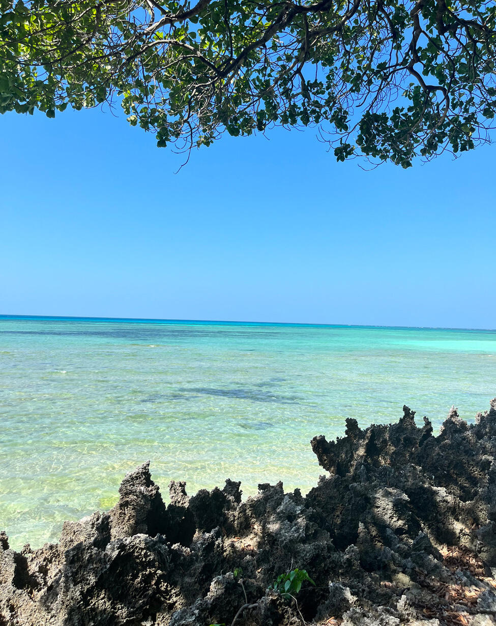Fanjove Island