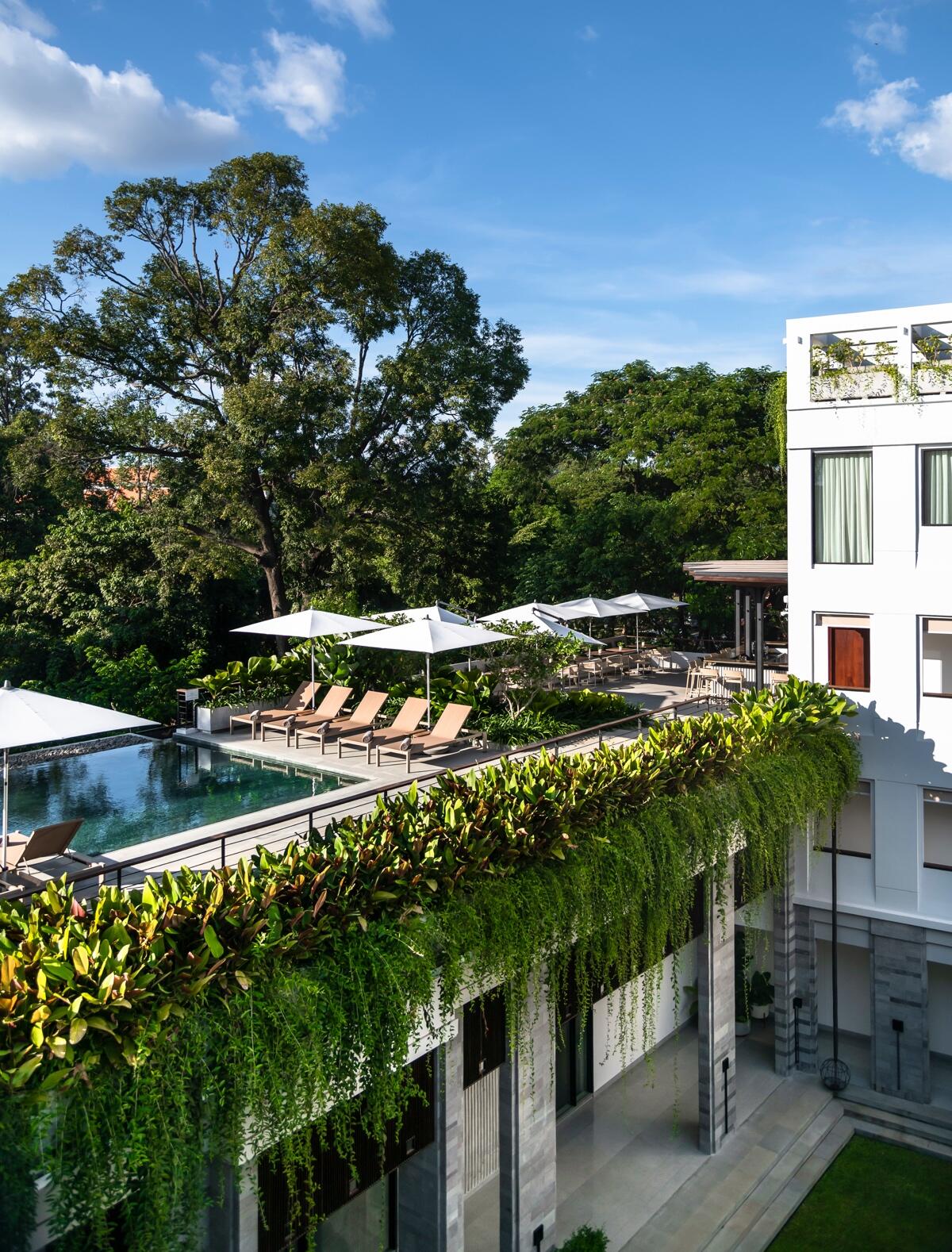 Treeline Urban Resort