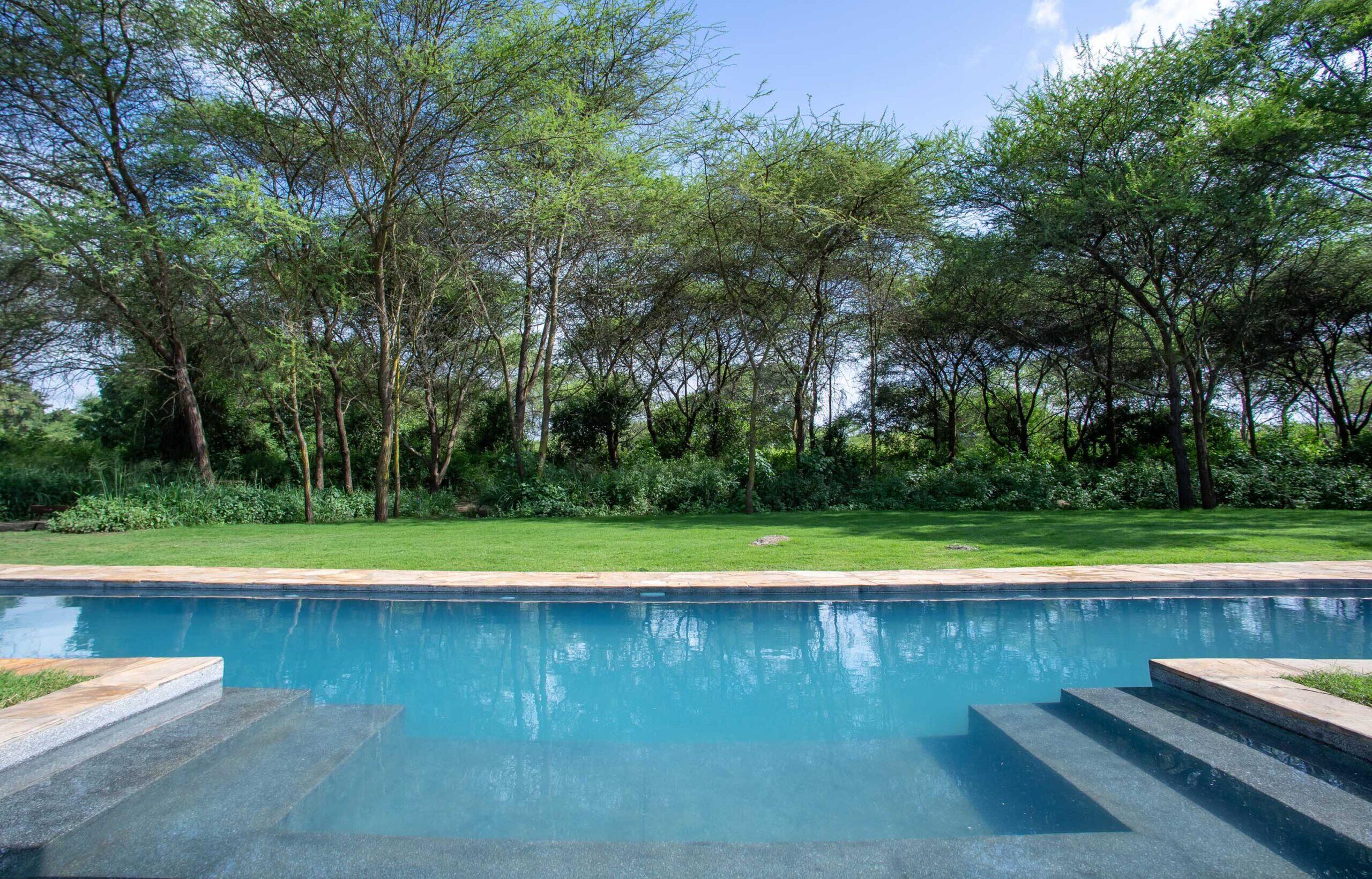 Lemala Hamerkop House