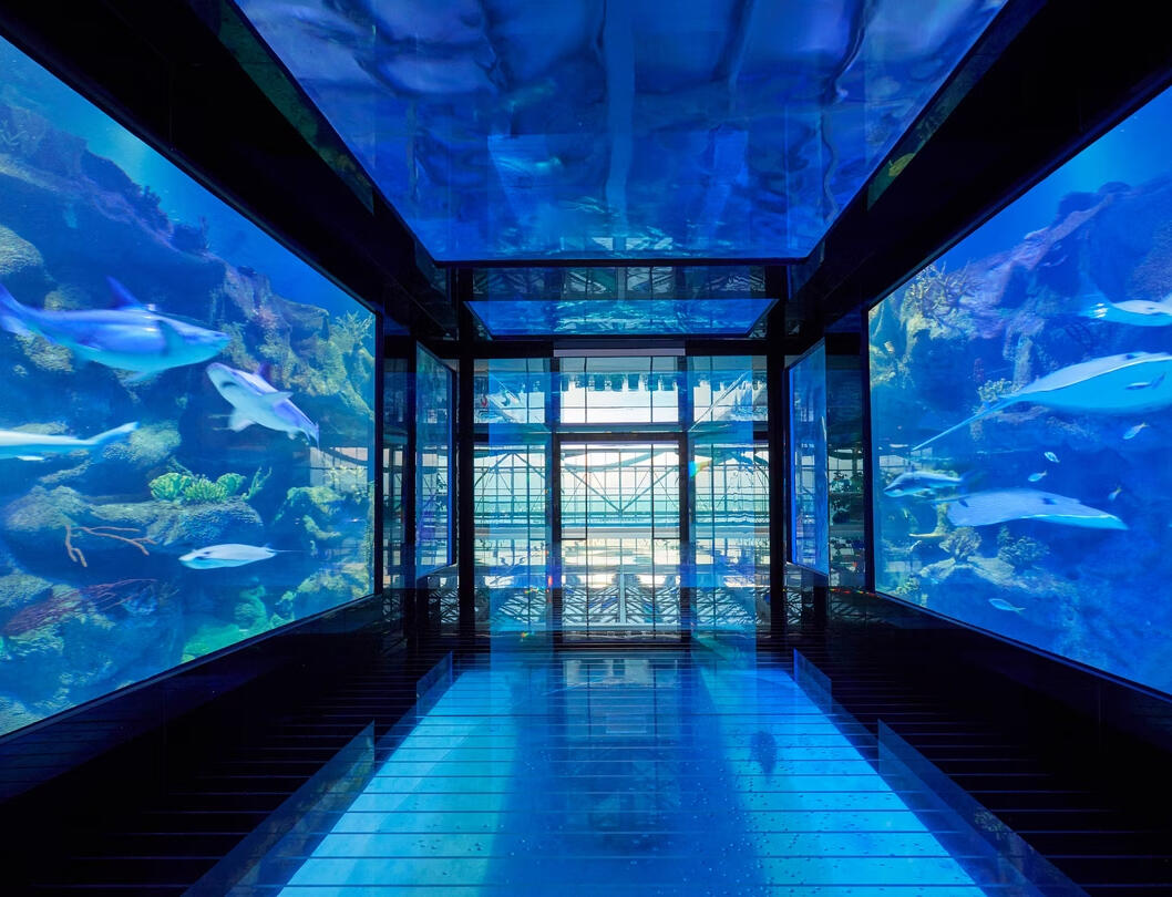 Paragraph Resort & Spa Shekvetil