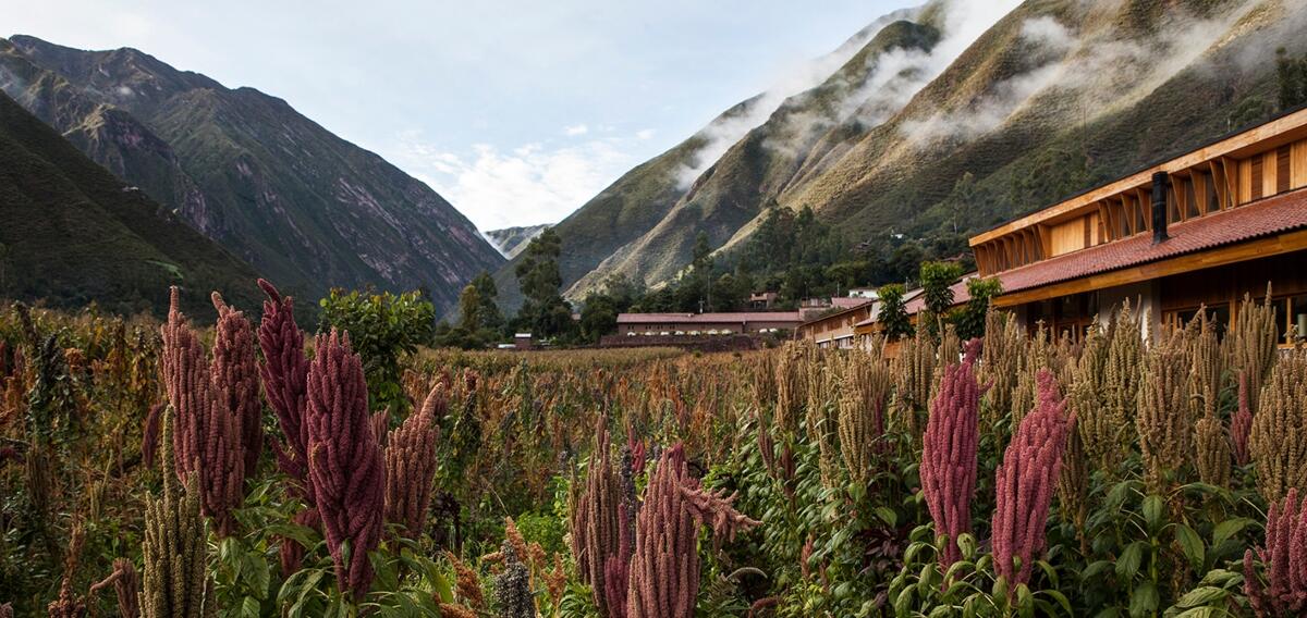 Explora Sacred Valley