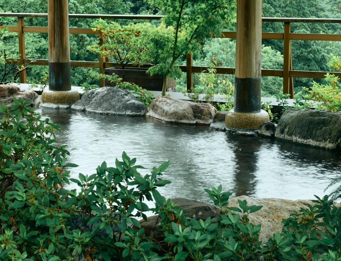 Hanamurasaki