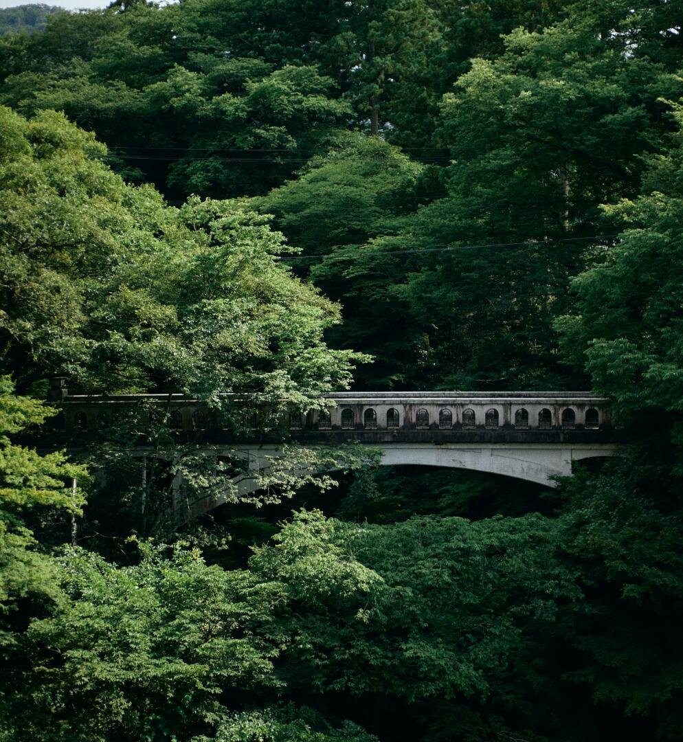 Hanamurasaki