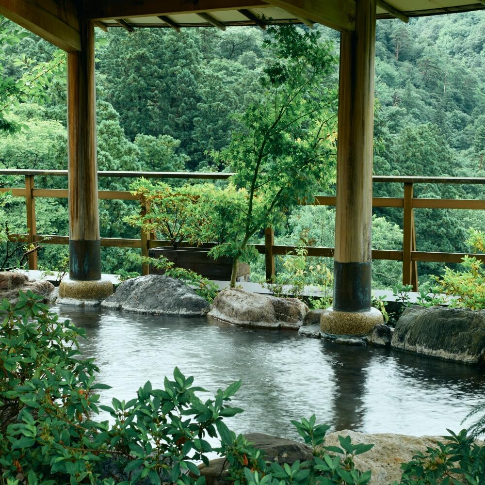 Hanamurasaki