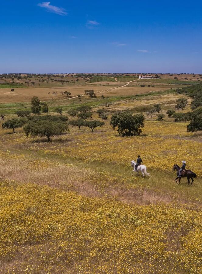 Herdade da Malhadinha Nova