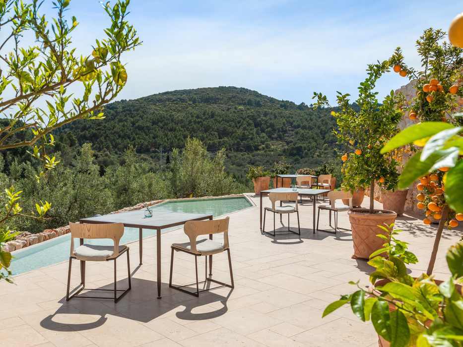 Outdoor dining tables on a sunny stone terrace next to potted orange trees with hills in the background.
