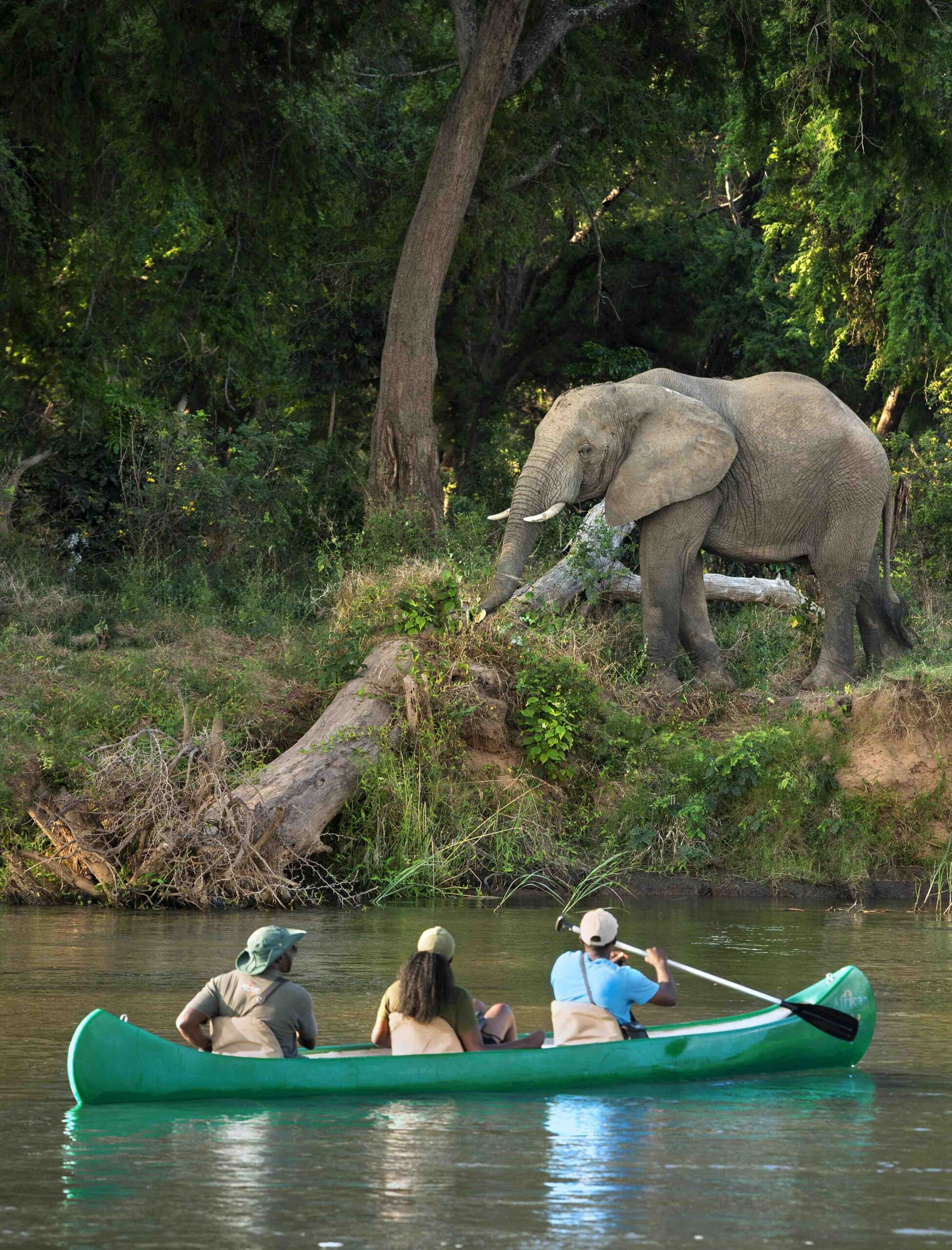 Lolebezi Lodge