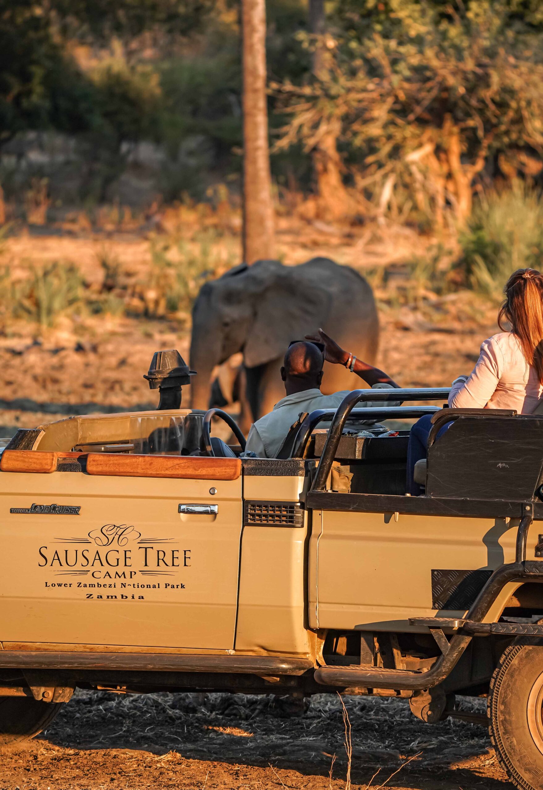 Sausage Tree Camp