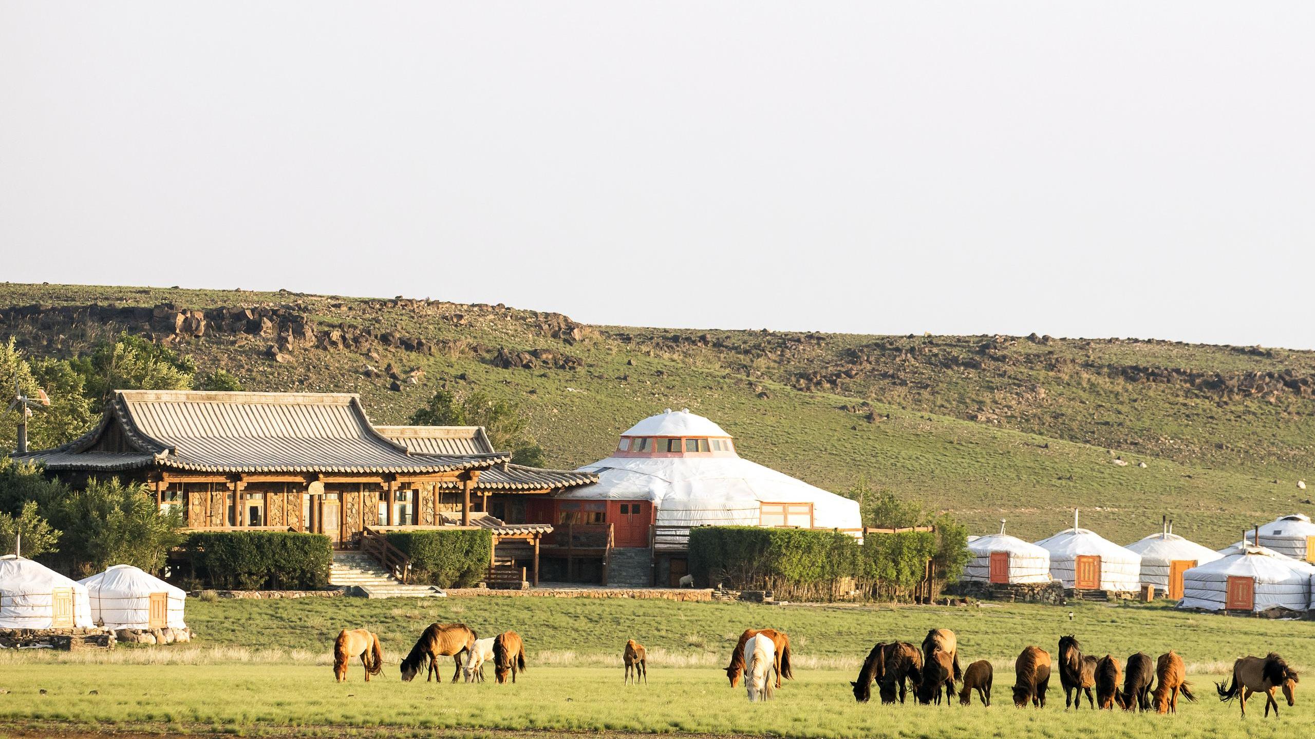A view of Three Camel Lodge in the Gobi Desert, Mongolia, with horses grazing outside