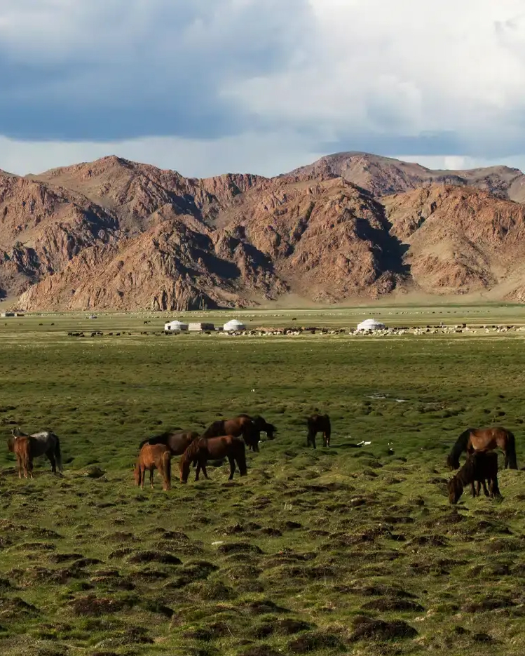 Three Eagle Camp