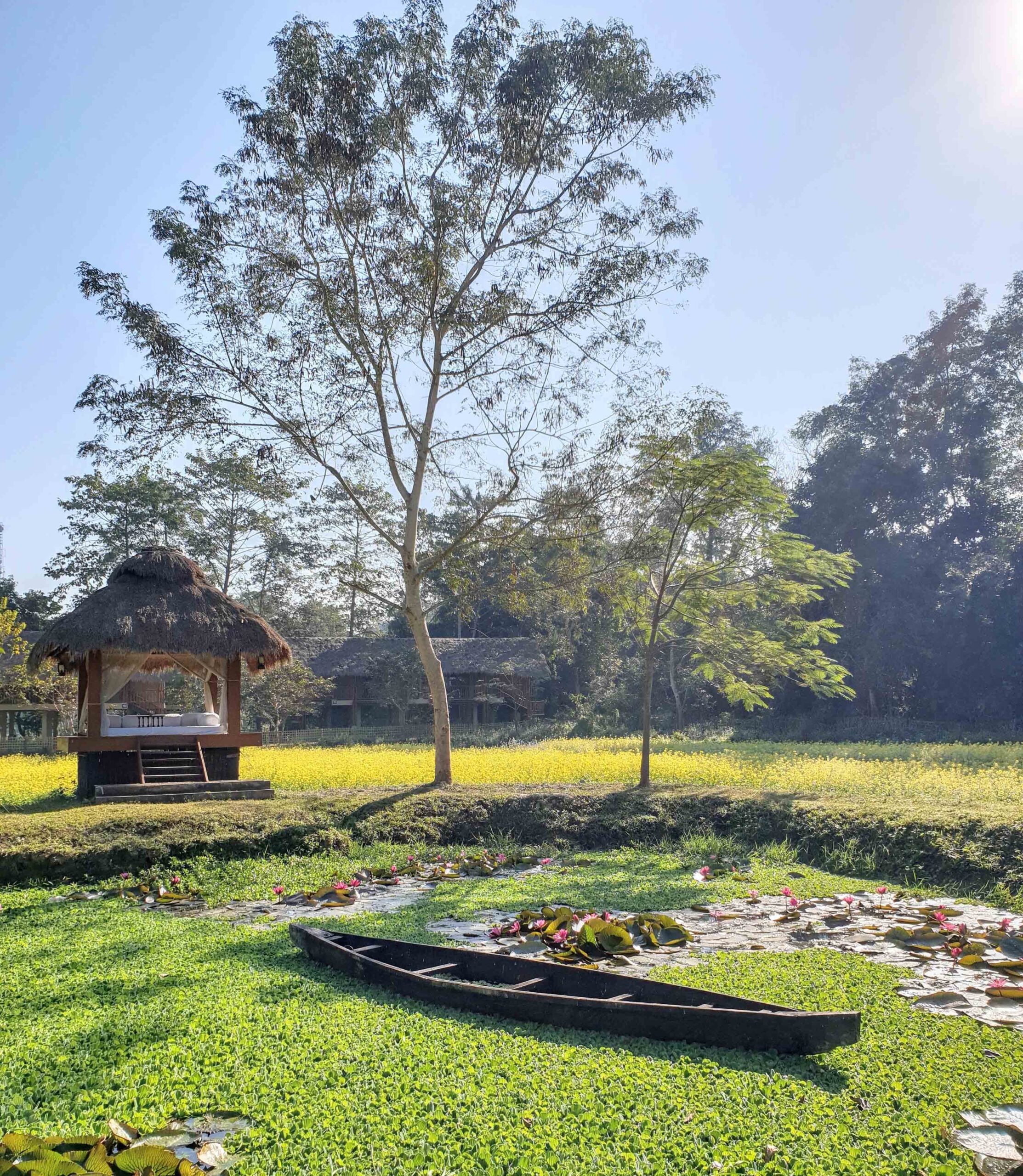 Diphlu River Lodge