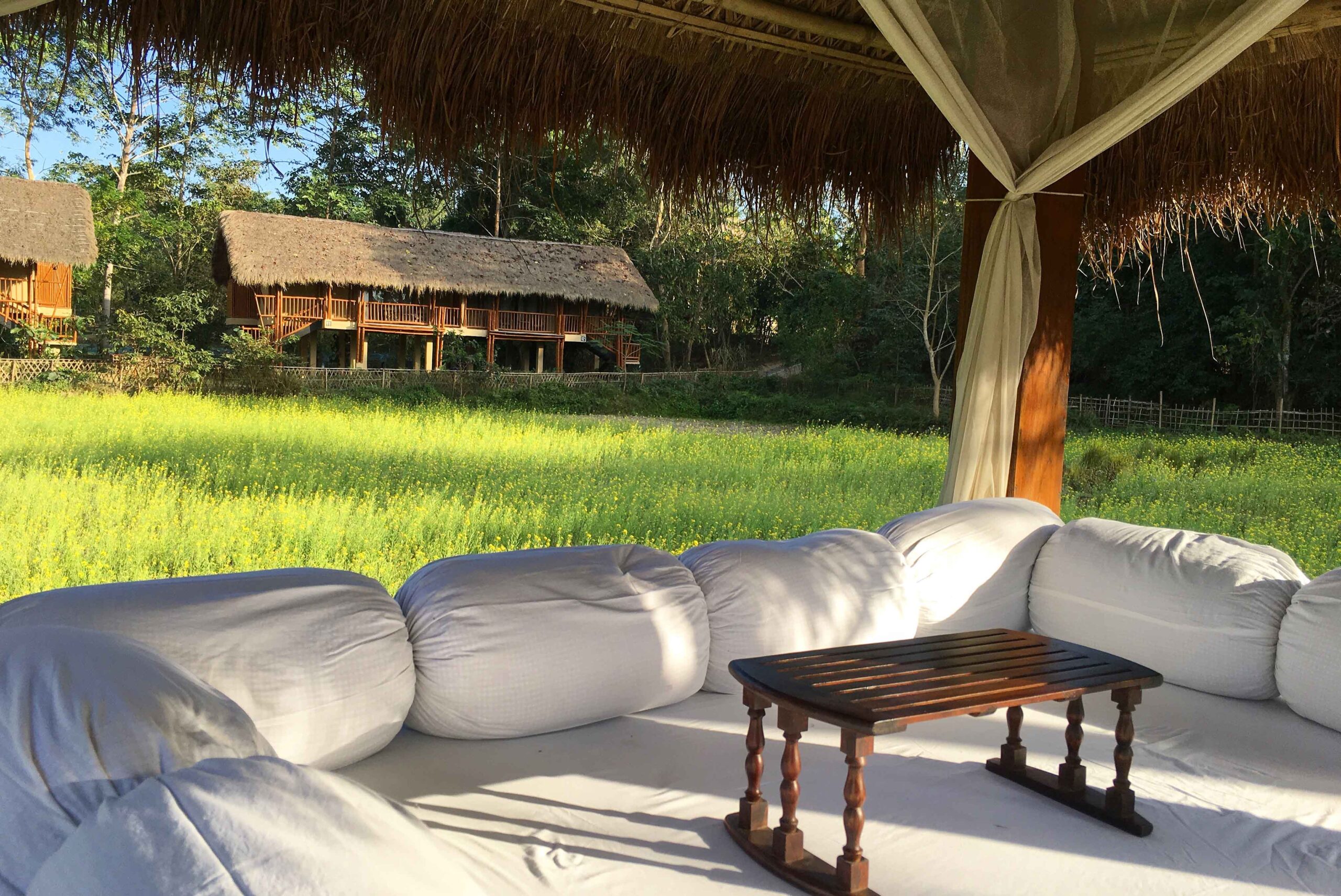 Diphlu River Lodge