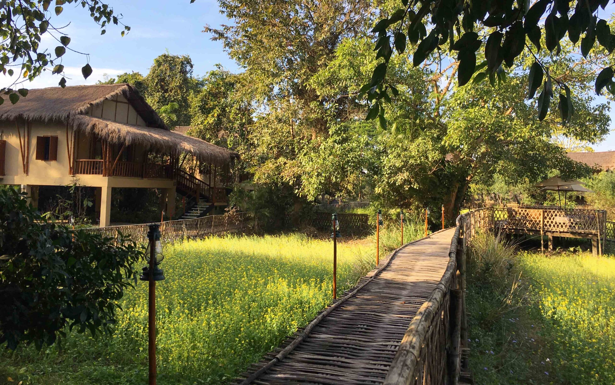 Diphlu River Lodge