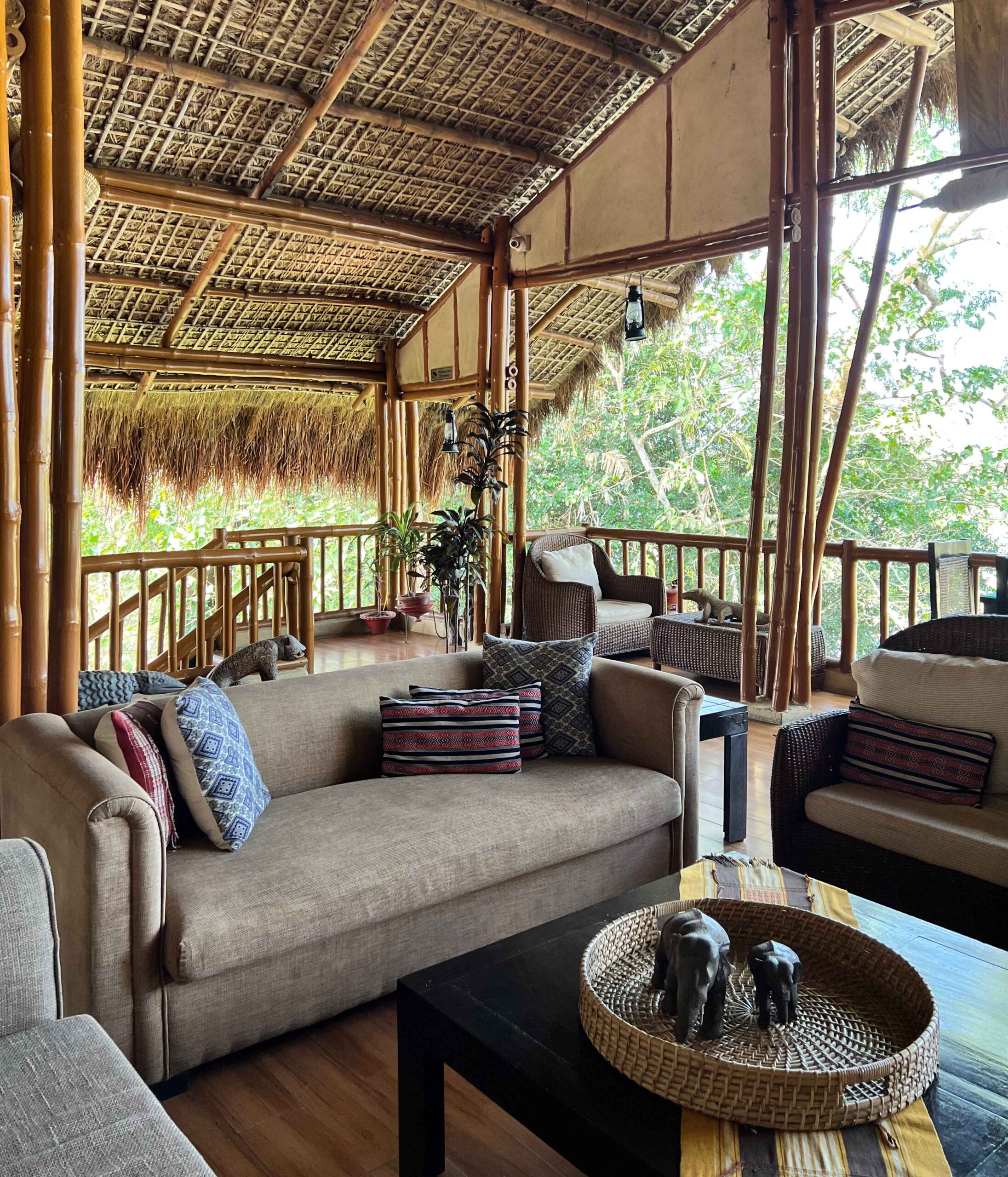 Diphlu River Lodge