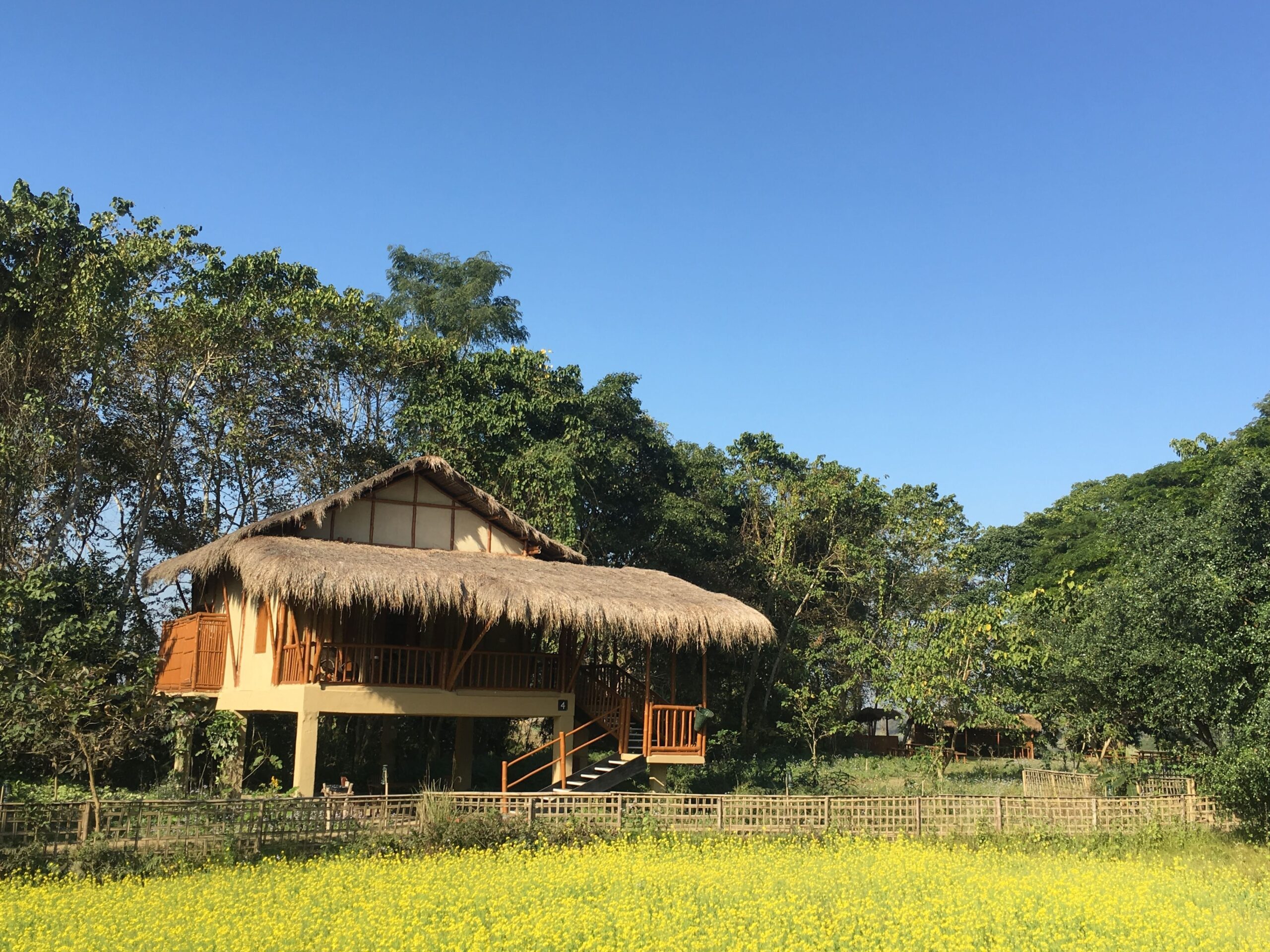 Diphlu River Lodge