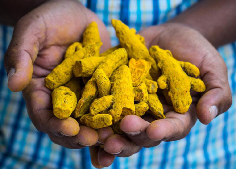 Spice Village
