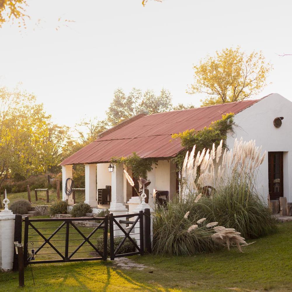 White cottage with red roof surrounded by greenery and pampas grass at sunset.