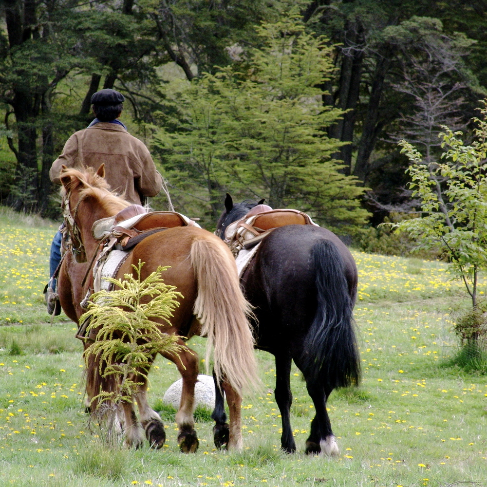 Horseback riding at Mallín Colorado, Chile