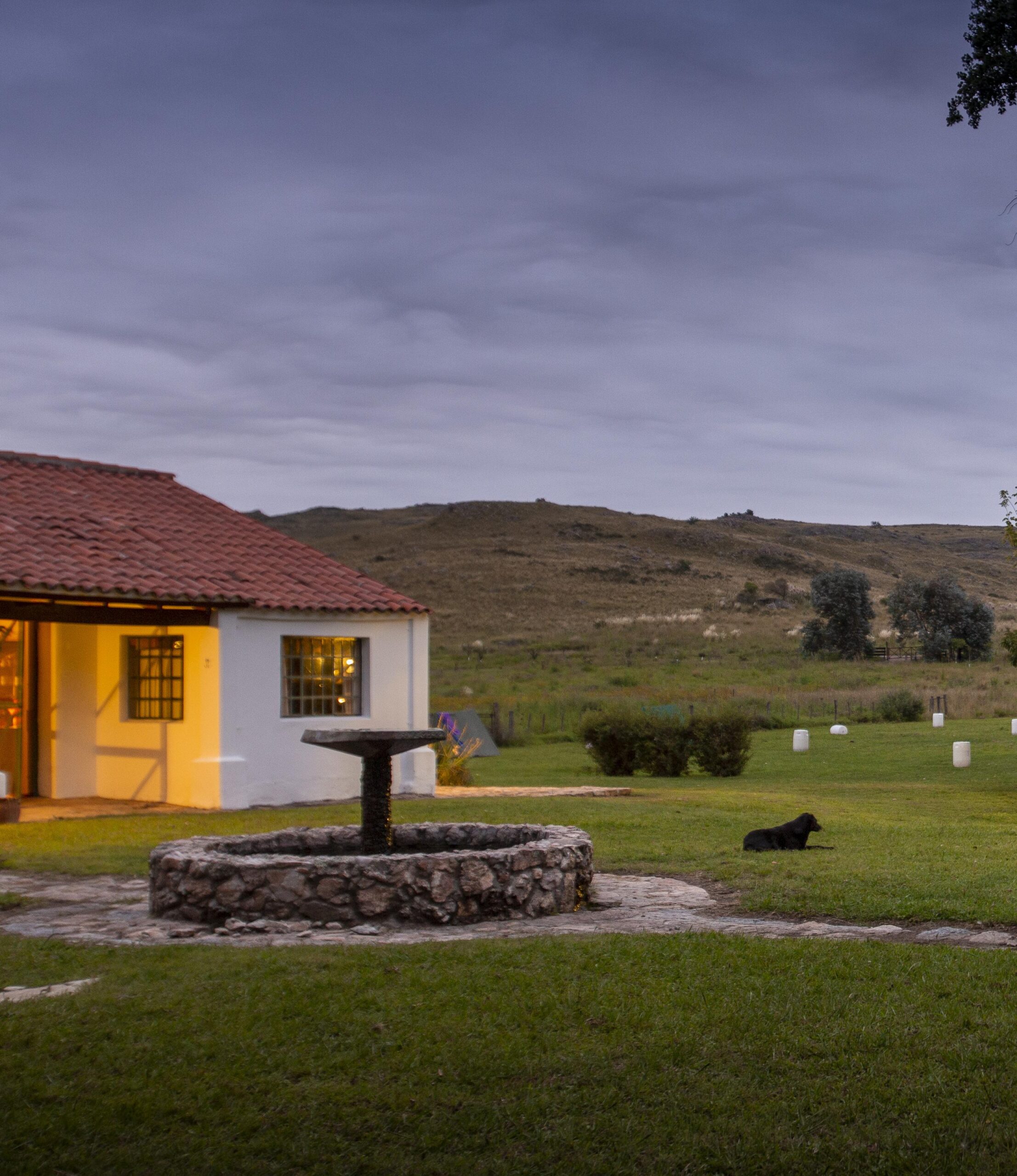 Rural house at dusk with a stone well and black dog on the grass.