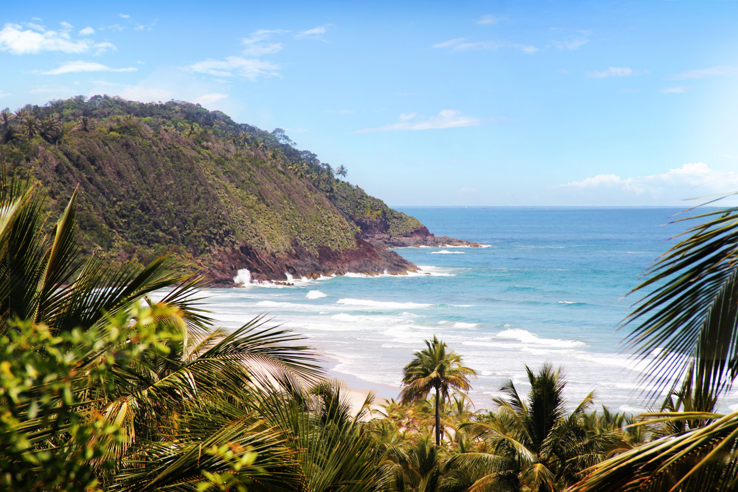 A scenic coastline with lush greenery, gentle waves lapping at the sandy shore, and a clear blue sky in the background.