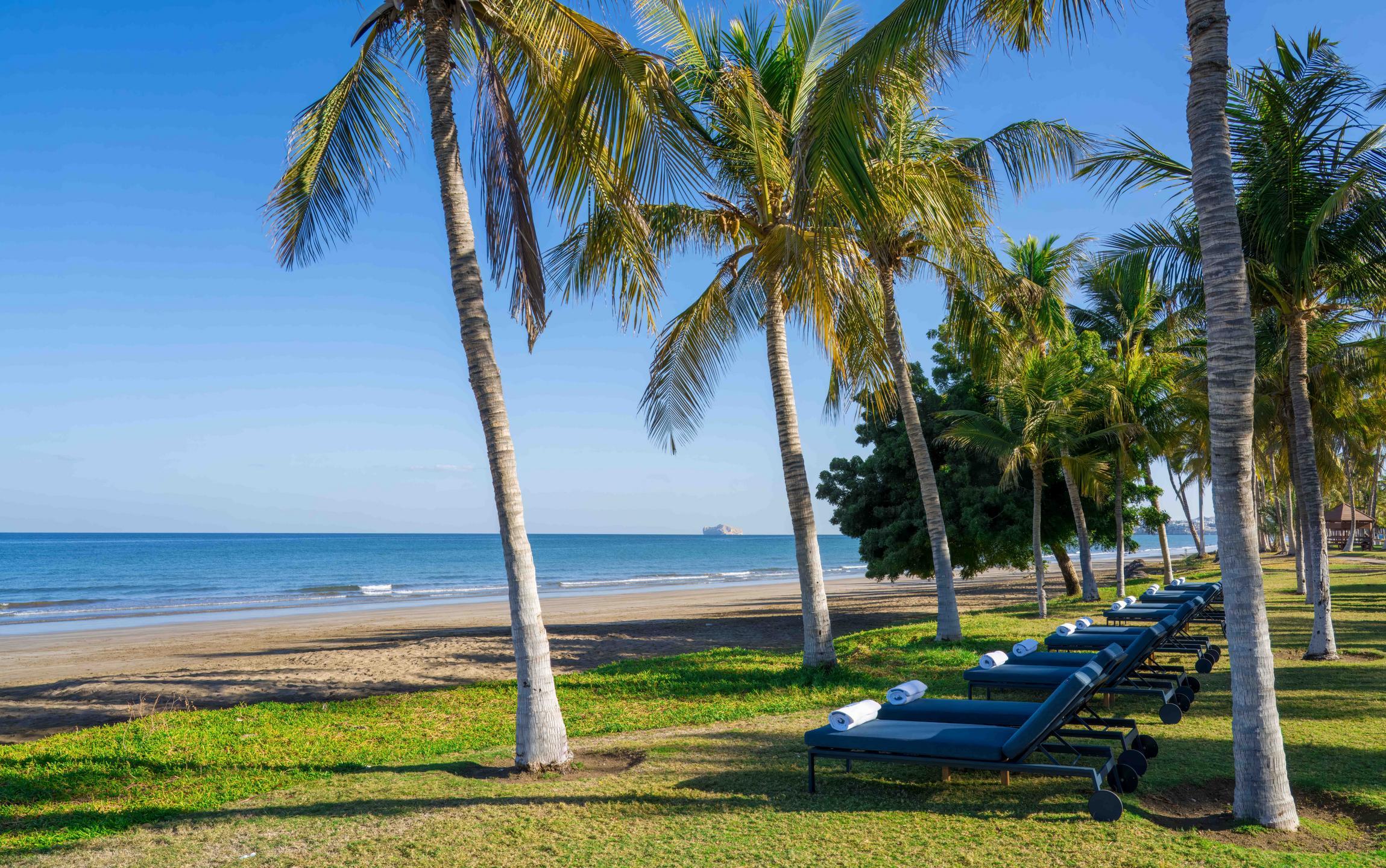 The beach in front of Mandarin Oriental Muscat, where golden sands meet green lawns dotted with tall palms and sun loungers.