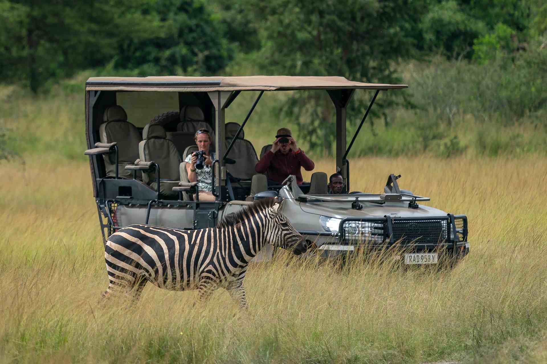 On safari at Wilderness Magashi Peninsula