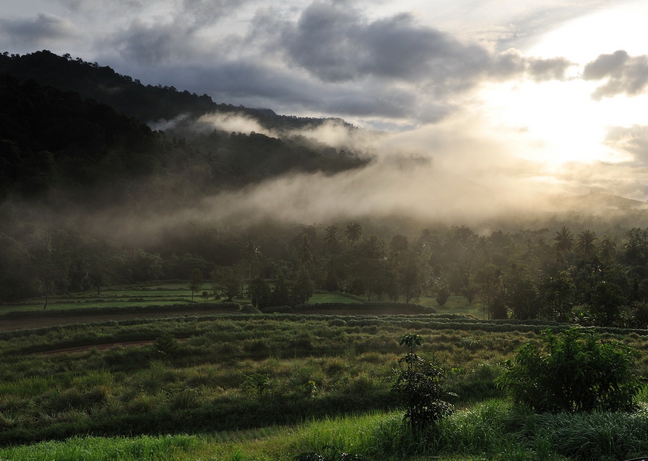 Thanyamundra Organic Resort
