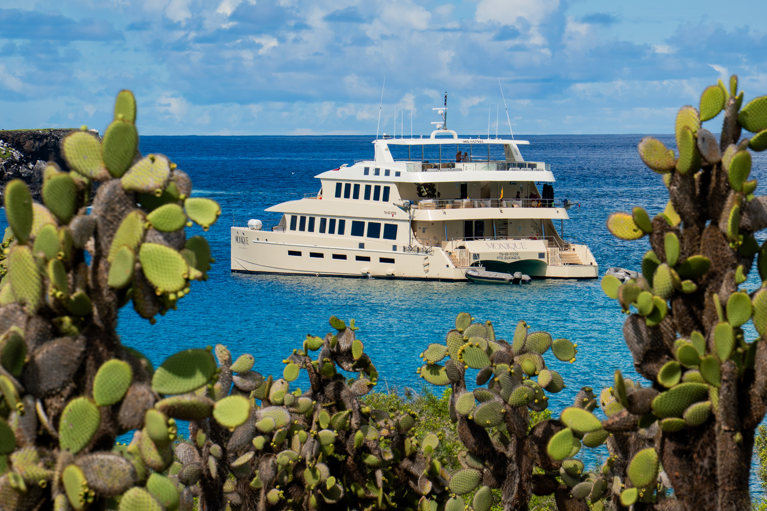 A luxury catamaran rests in vibrant blue ocean water, framed by green prickly pear cacti growing on the shore.