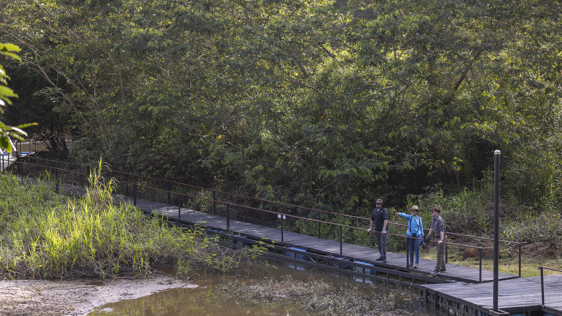 Two people, one in a bright blue jacket, standing on an outdoor raised walkway that runs over a body of water and next to some trees and tall grass.