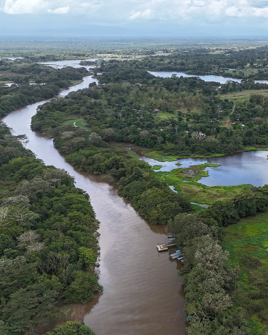 An aerial shot of a brown river surrounded by dark green trees. To the right are some patches of green and more bodies of water can be seen looking off into the distance.