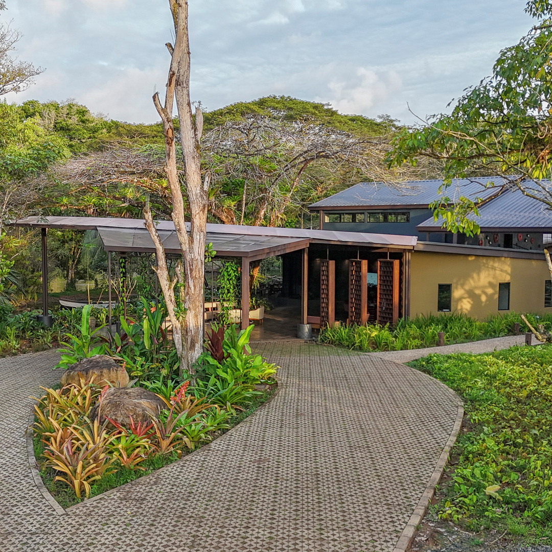 The entry driveway to a hotel with a brick drive and centre island with greenery, rocks and a tree trunk. In the background is a yellow building with an open terrace and green trees and a hill behind it.