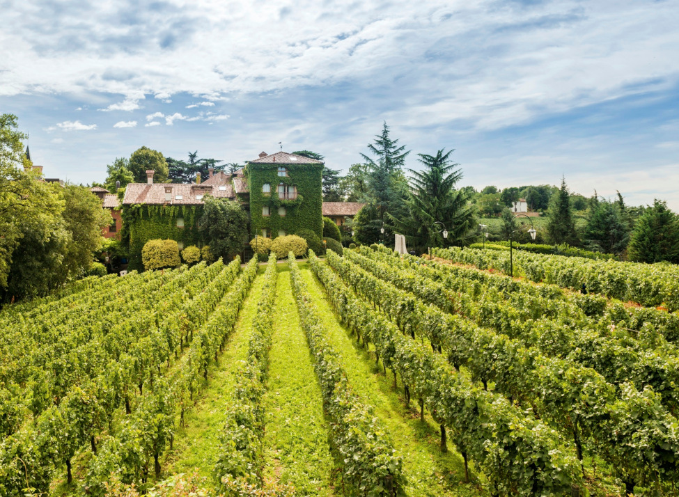 L'Albereta
