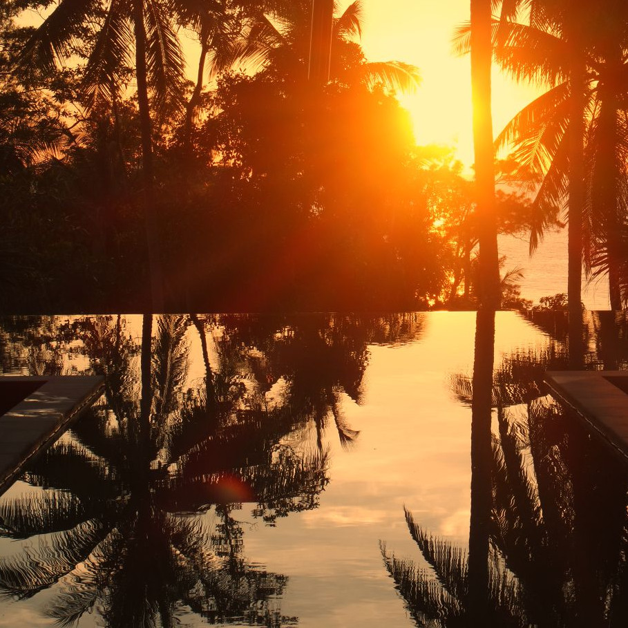 Exterior of a pool area with palm trees and an orange sunset being reflected in the water.