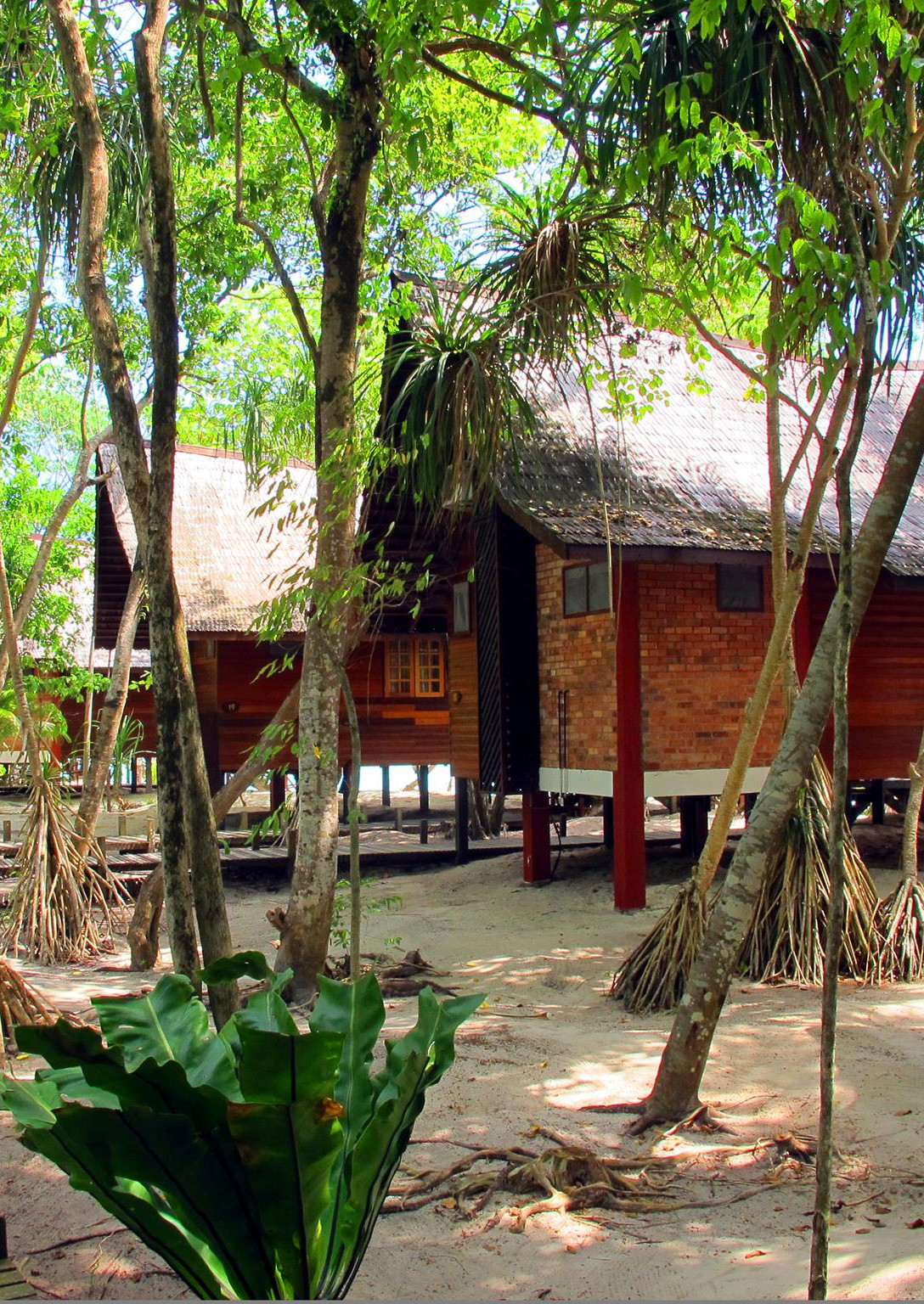 Exterior shot of two chalets with pitched roofs sitting on low stilts on a sandy beach surrounded by palm trees.