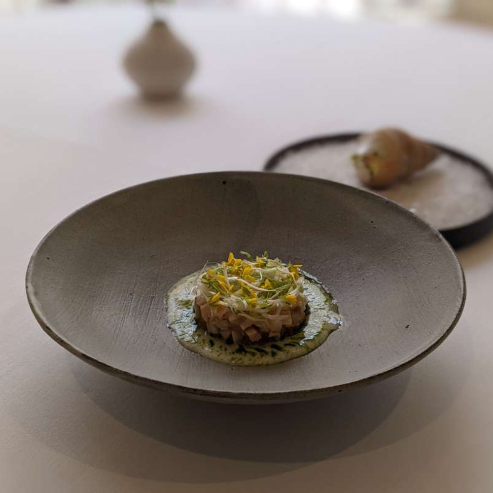 A large plate with a modern dish garnished with green sauce and flowers