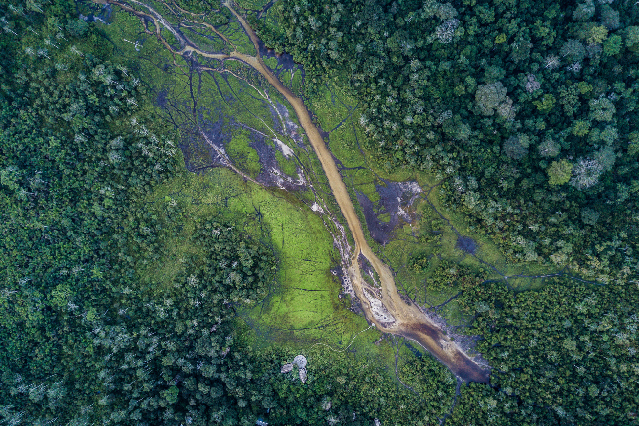Birds-eye view of the waterways and green rainforests of the Lango baï