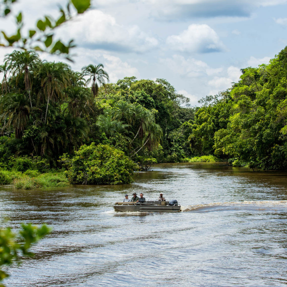 A small boat with four people in it, cruising across a wide river surrounded by green foliage