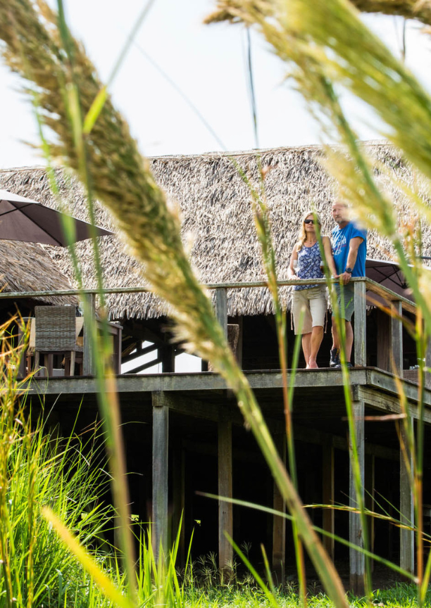 A couple standing on a raised wooden viewing deck surrounded by tall grass