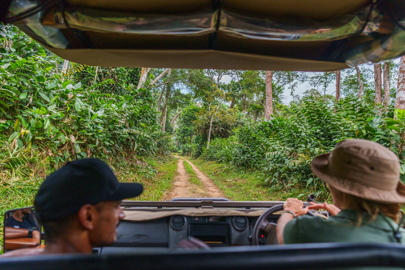 View from the backseat of a vehicle with two people in front and a dirt road and forest ahead