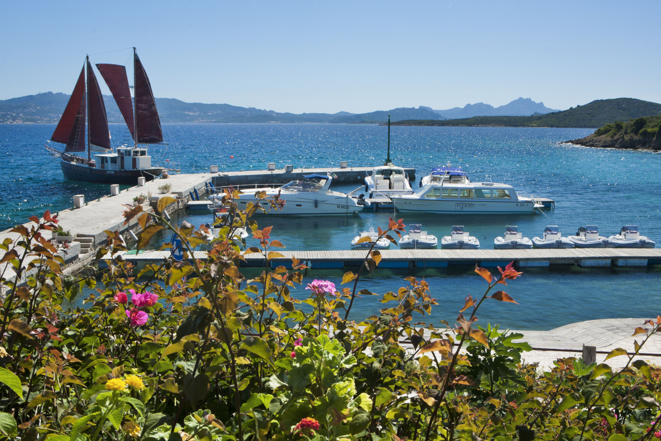 Pink rose bushes in foreground with a small marina with yachts and a sailboat and turquoise sea stretching away.