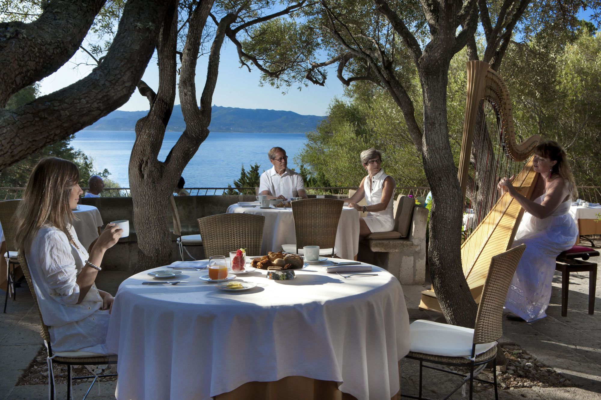 An outdoor dining space with people sitting around a white-tablecloth table surrounded by trees and overlooking the sea.