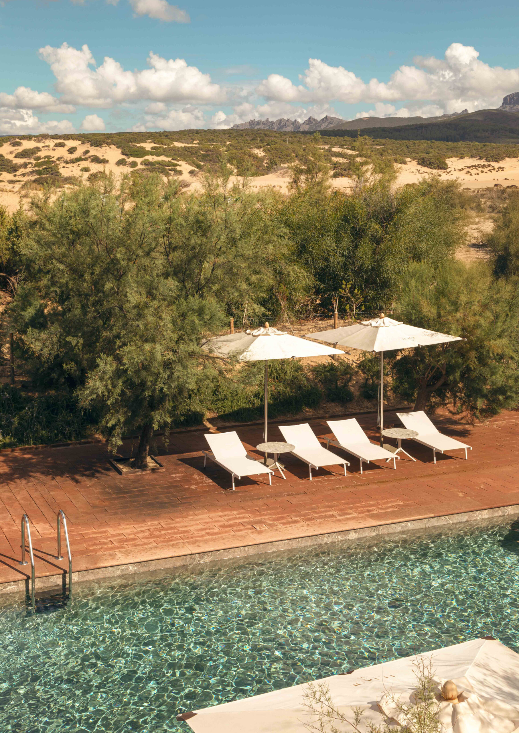 Overview shot of the a pool with red walkways around it and four lounge chairs with umbrellas, and in the background are some green olive trees and then dunes beyond.
