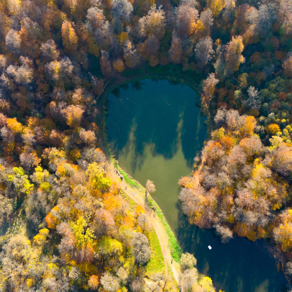 Colourful aerial view of the autumn forest with lake. Parz Lake in Tavush, Armenia. Taken with a drone.