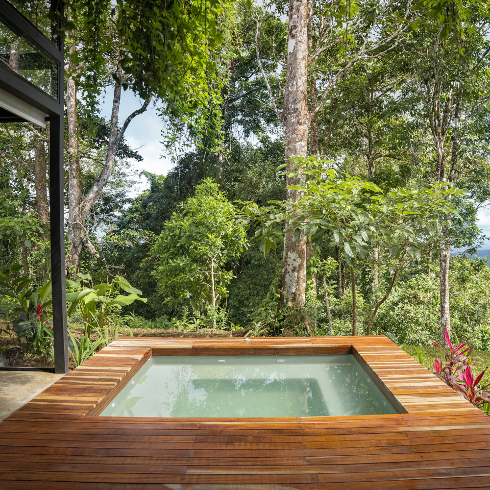 Small plunge pool surrounded by wooden decking with many large trees in the background.
