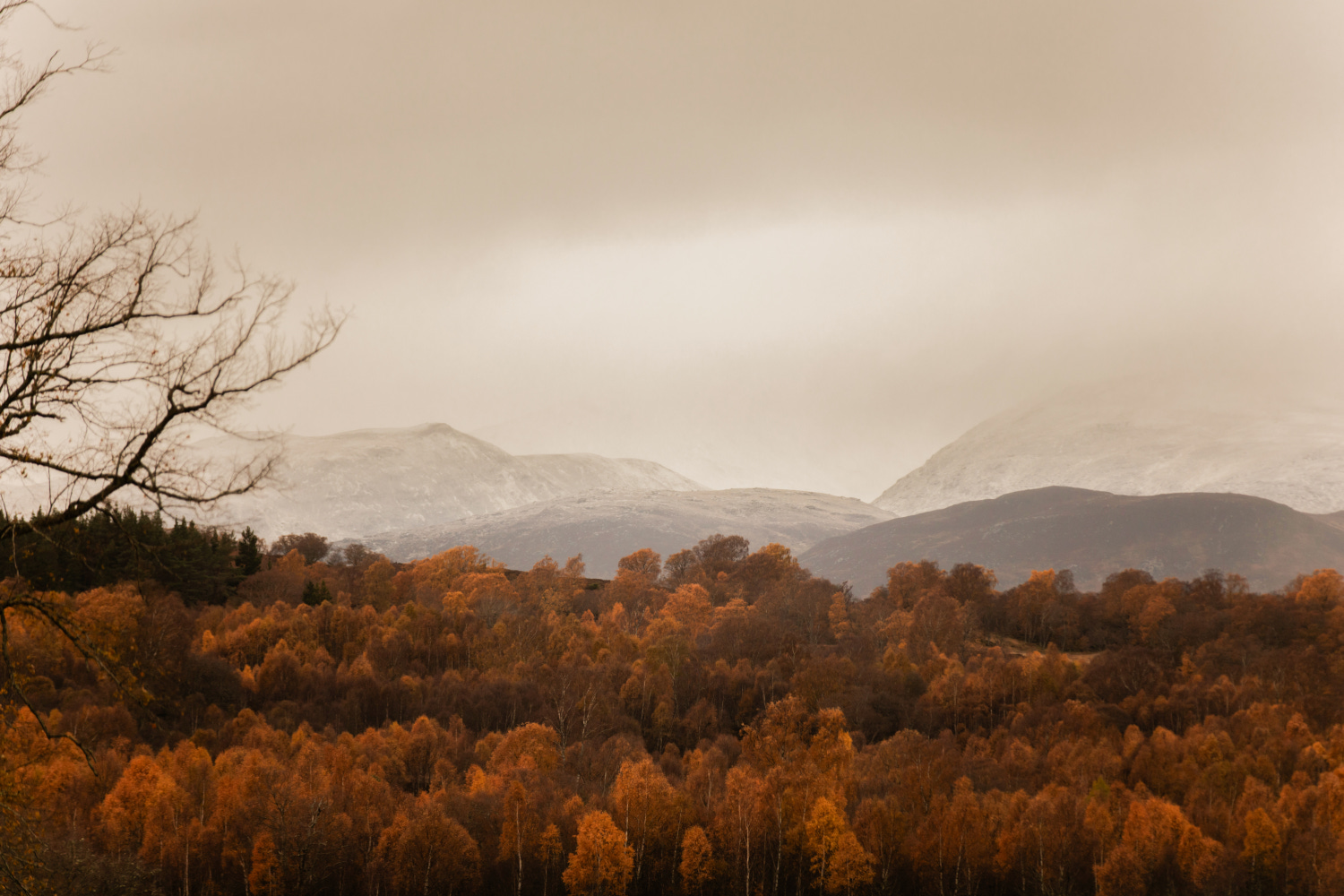 Exterior shot of woodland in autumn brown colour in the foreground and mountains dusted in snow and covered in fine clouds beyond.