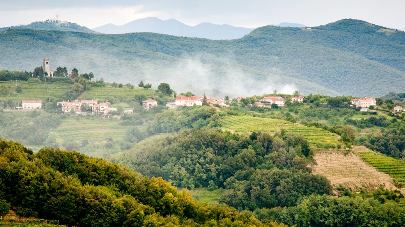 Goriska Brda Wine Region, Slovenia