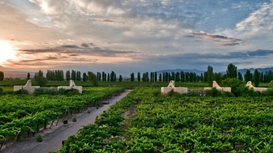 cavas-wine-lodge-mendoza-argentina