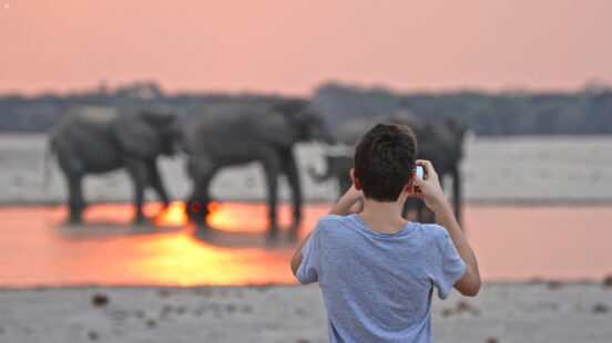 Rear view of a person photographing several elephants standing in a shallow body of water at dusk.